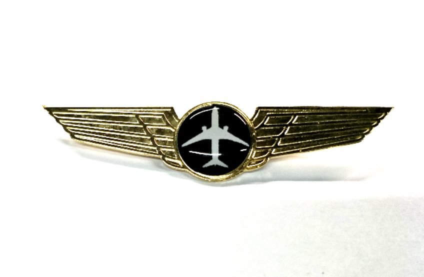 pilot-wings-gold-12.jpg