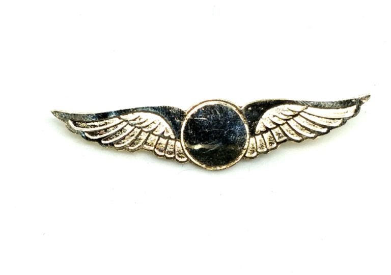 Blank premium gold Uniform Wings Electro-Plated Badge for Pilots ...